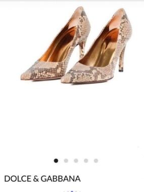 Dolce & Gabbana Snake-Print Pointed Toe Stiletto Pumps in Taupe
